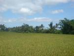dsc02084.jpg