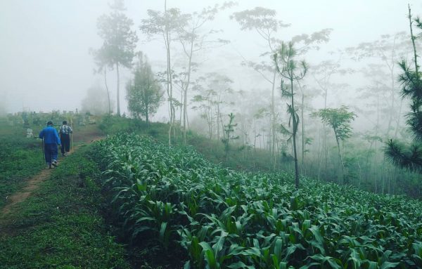 Pemandangan di Kuburan Ibu