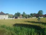 dsc02183.jpg