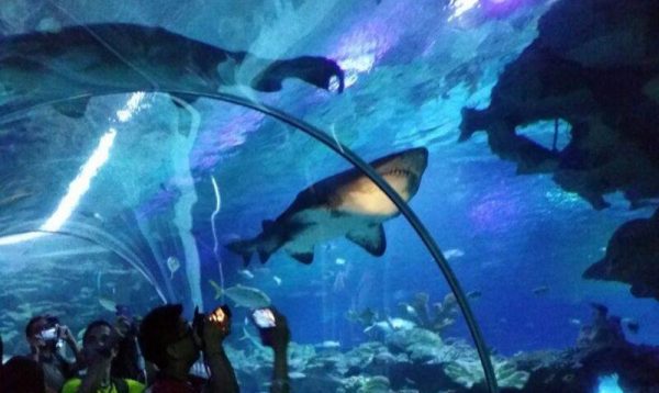 Aquaria KLCC Kuala Lumpur